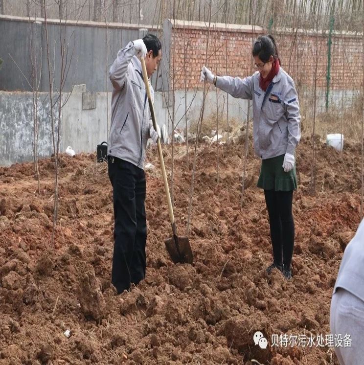 贝特环保开展“积极参加义务植树，建设美丽贝特环保”活动